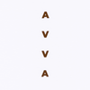 AVVA BRAND El Capitan Tee