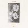 AVVA BRAND Hibiscus Jungle Tee