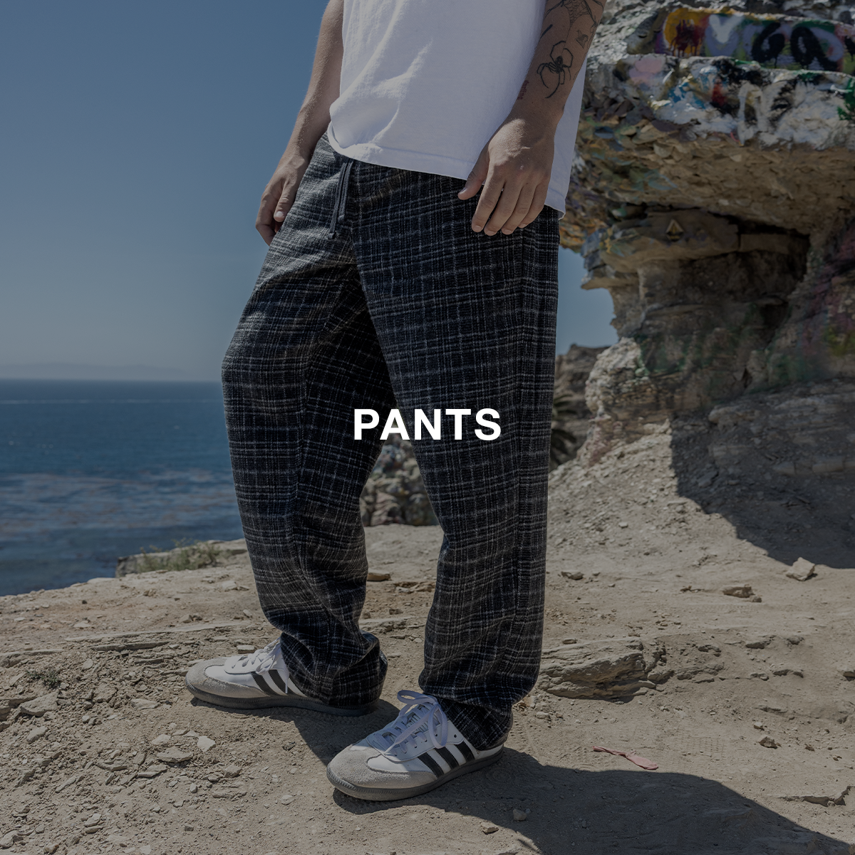 Shop AVVA Pants