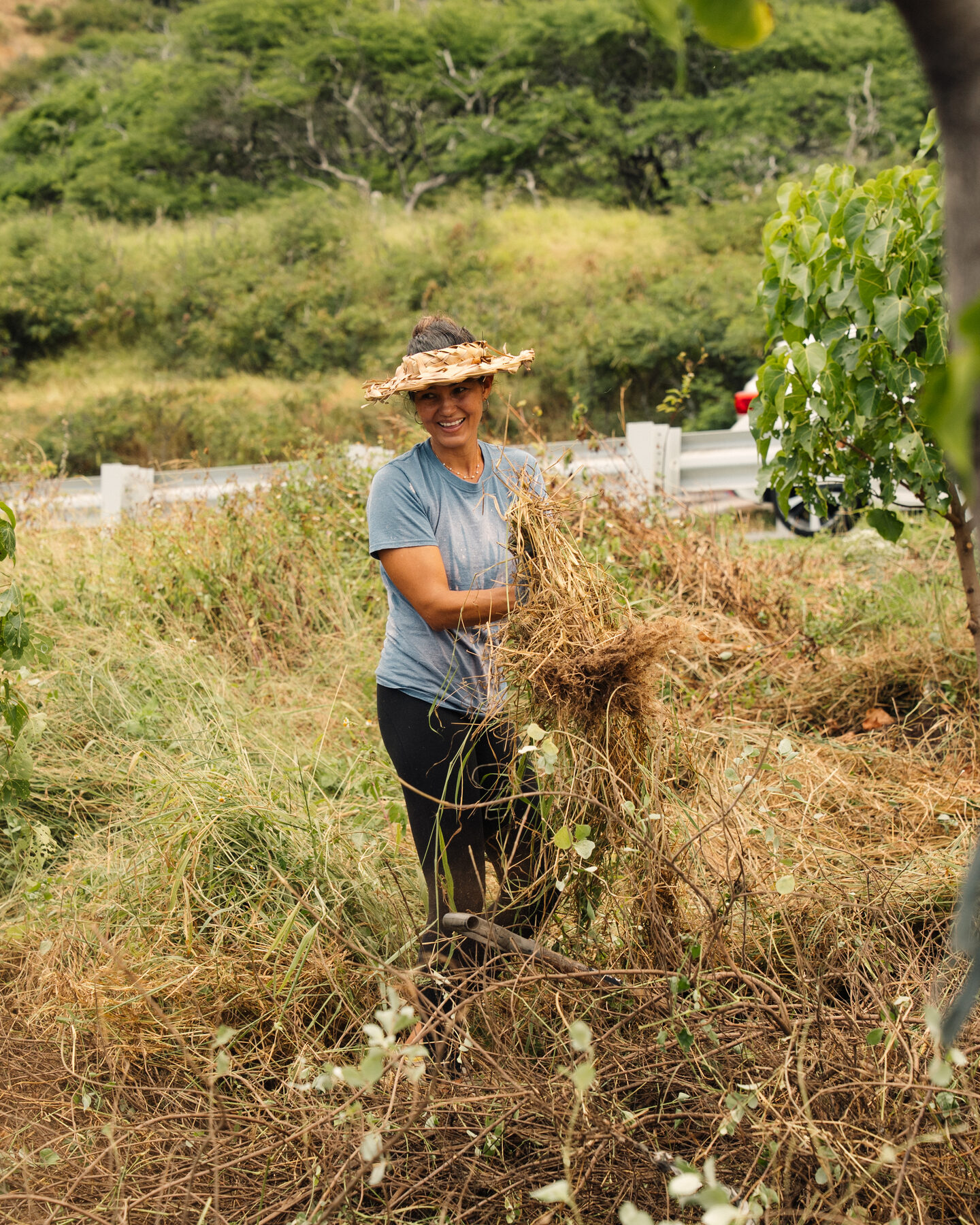 Clearing brush along the coastline